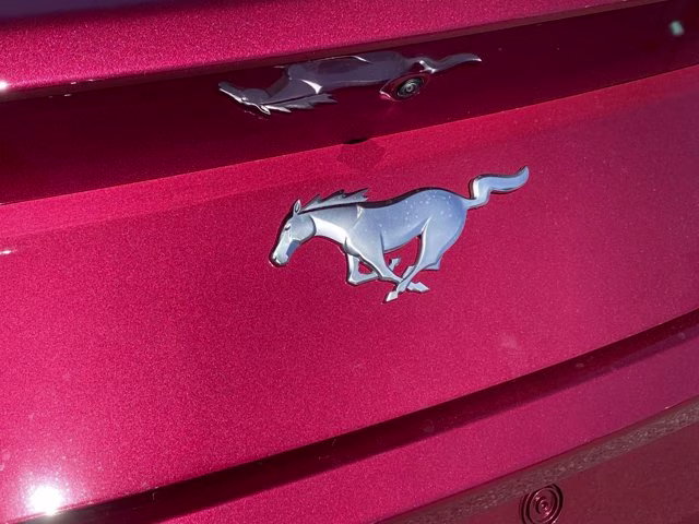 2026 Molten Magenta Metallic Tinted Clearcoat Ford Mustang EcoBoost Premium RWD Coupe