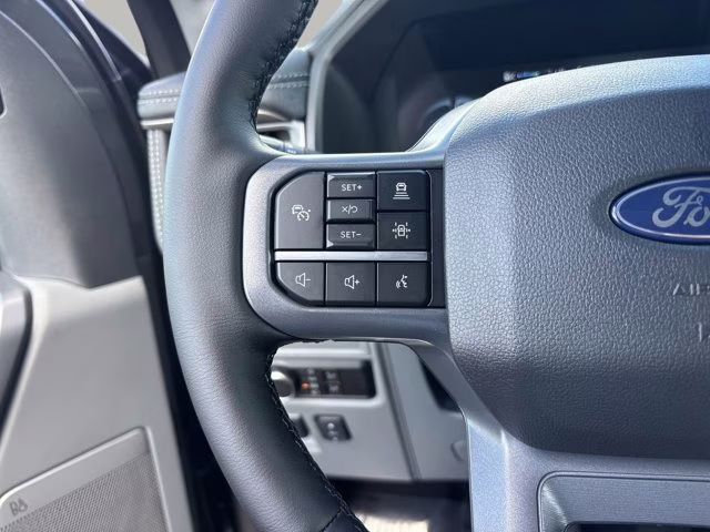 2025 Carbonized Gray Metallic Ford F-150 Lightning Flash AWD Truck