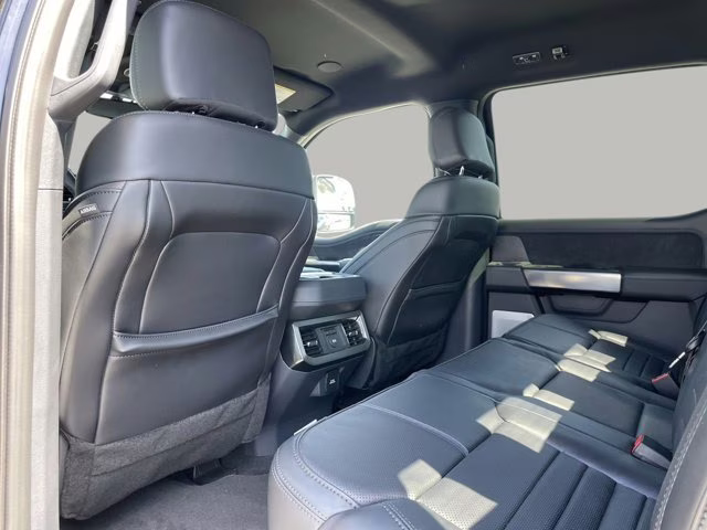 2025 Agate Black Metallic Ford Super Duty F-250 SRW Platinum 4X4 Truck