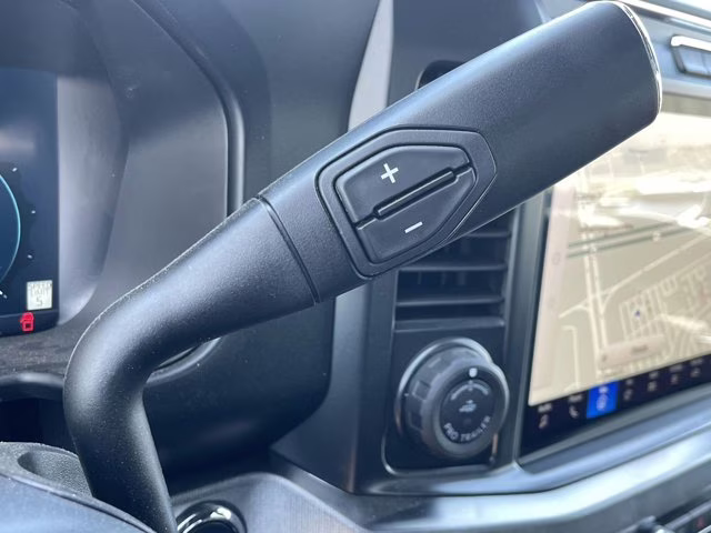 2025 Agate Black Metallic Ford Super Duty F-250 SRW Platinum 4X4 Truck