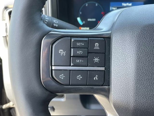 2025 Agate Black Metallic Ford Super Duty F-250 SRW Platinum 4X4 Truck