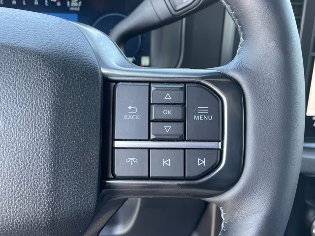 2025 Agate Black Metallic Ford Super Duty F-250 SRW Platinum 4X4 Truck