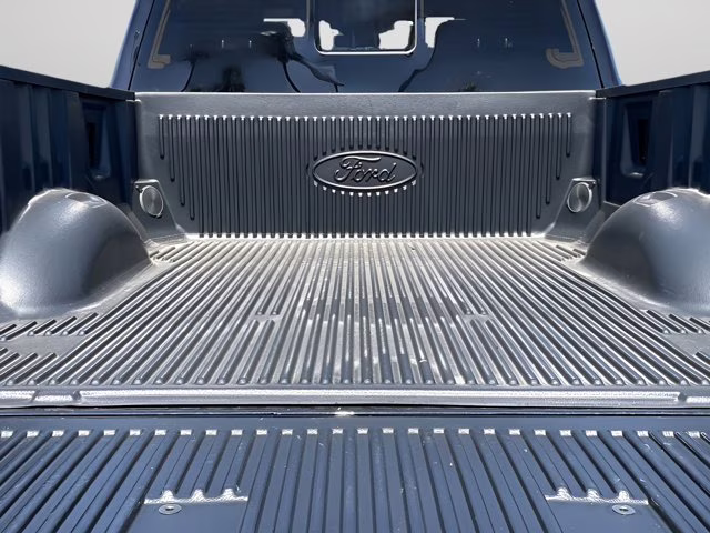 2025 Agate Black Metallic Ford Super Duty F-250 SRW Platinum 4X4 Truck