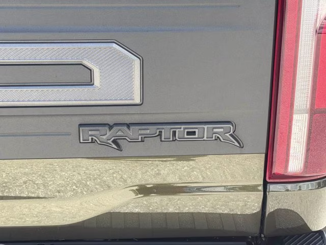 2025 Shelter Green Ford F-150 Raptor 4X4 Truck