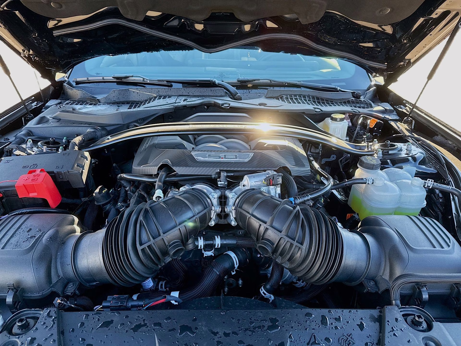 2025 Shadow Black Ford Mustang Dark Horse RWD Coupe