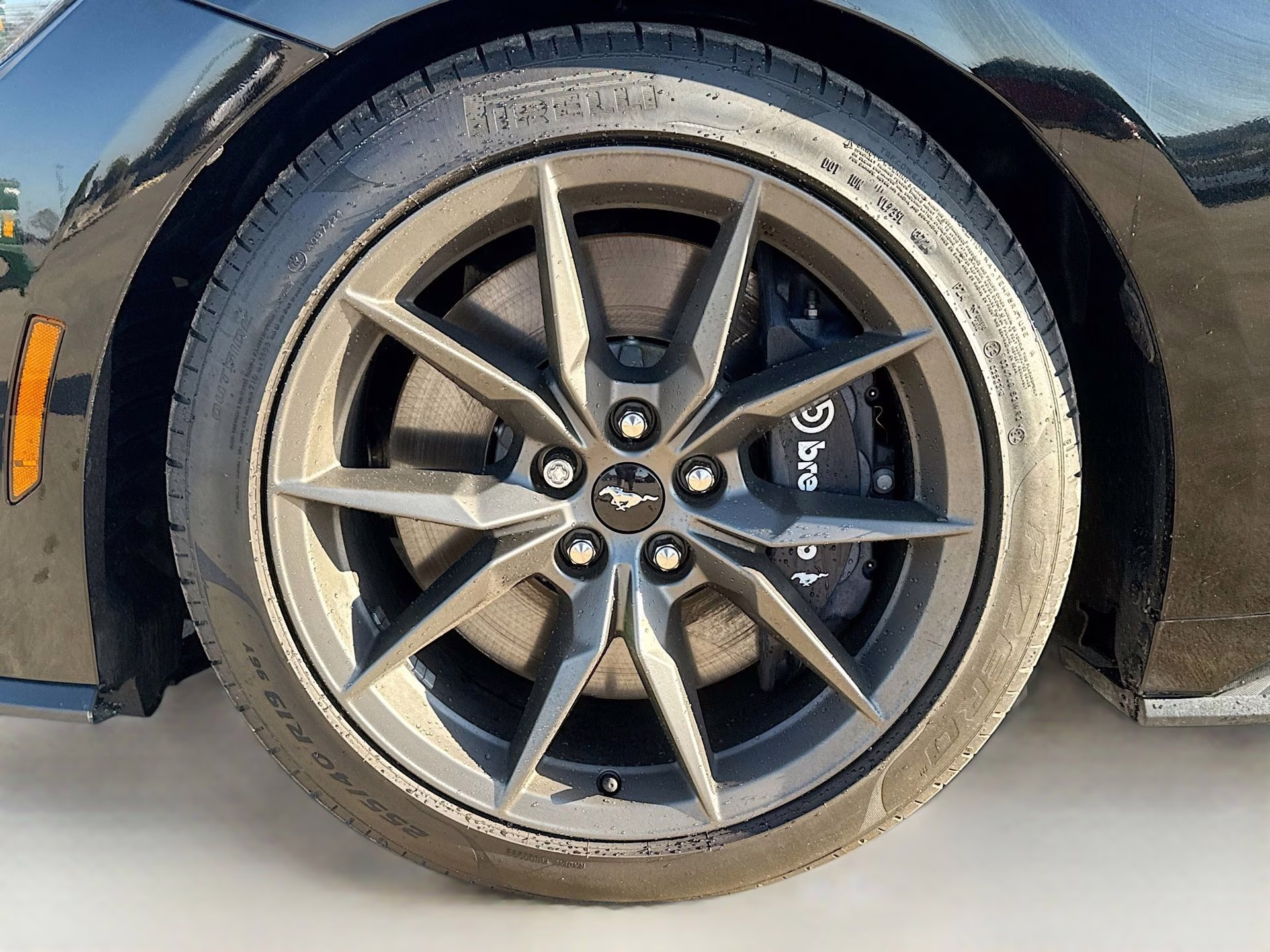 2025 Shadow Black Ford Mustang Dark Horse RWD Coupe