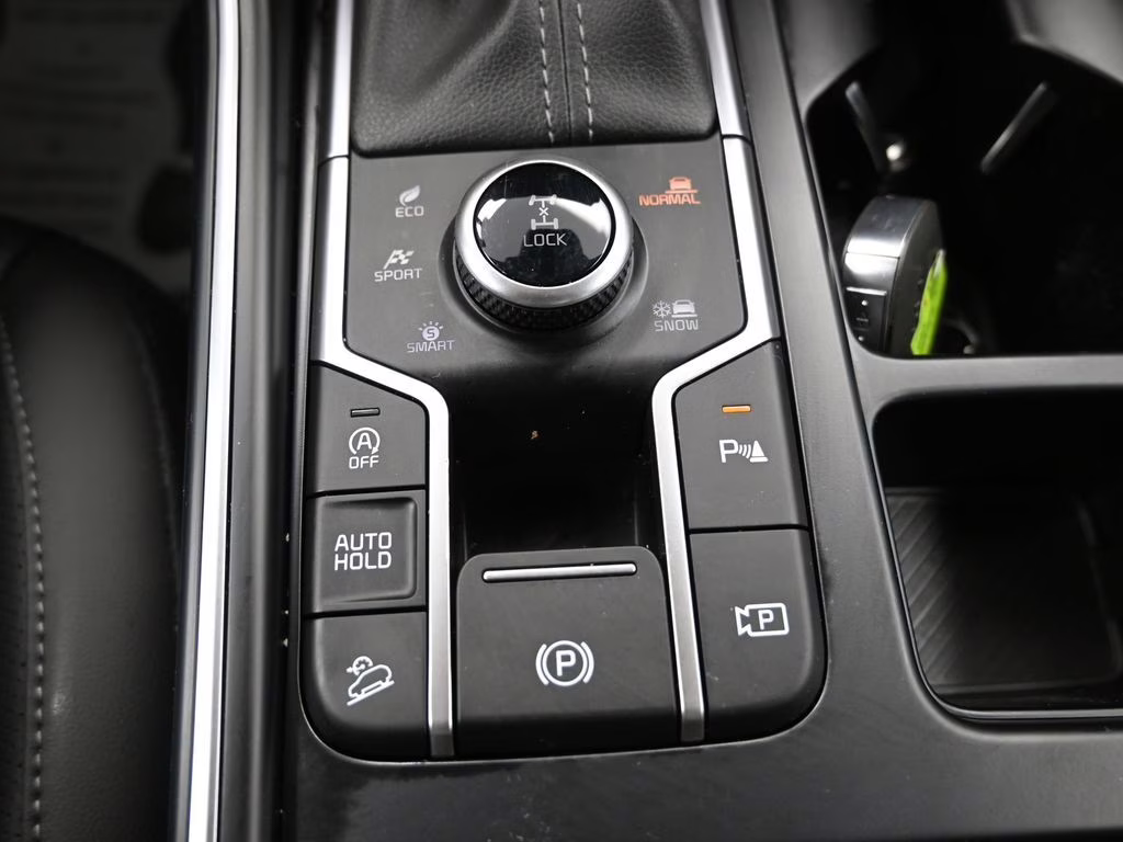 2025 Panthera Metal Kia Sorento X-Line EX AWD SUV