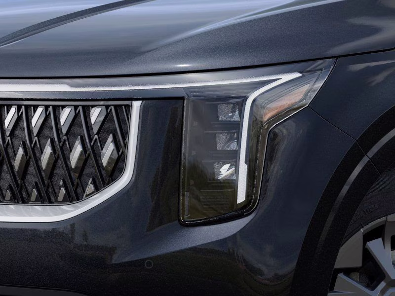 2026 Panthera Metal Kia Carnival Hybrid EX FWD Van