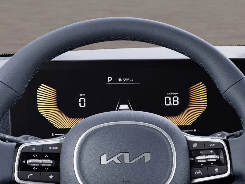 2026 Panthera Metal Kia Carnival Hybrid EX FWD Van