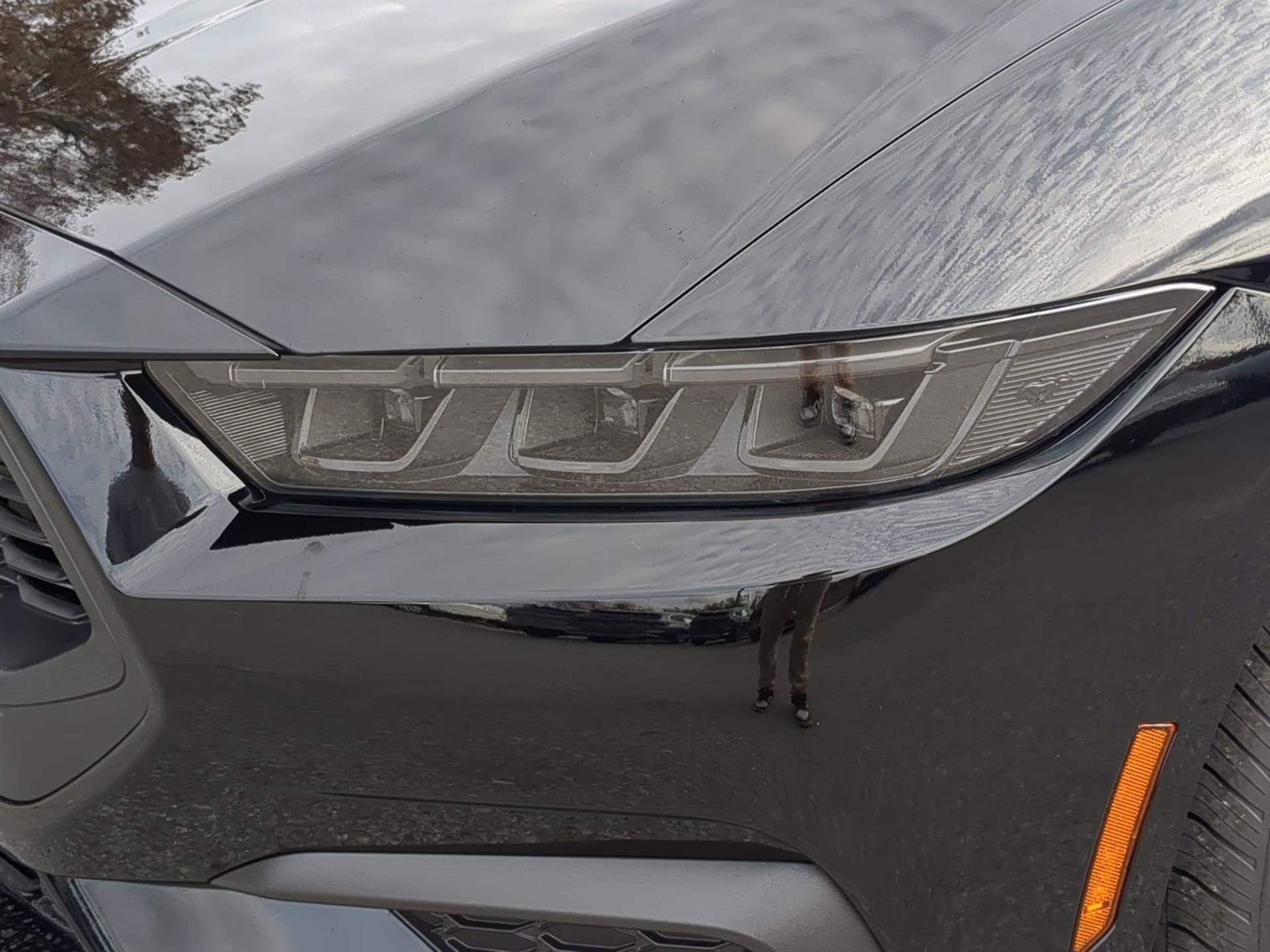 2026 Shadow Black Ford Mustang EcoBoost Premium RWD Coupe