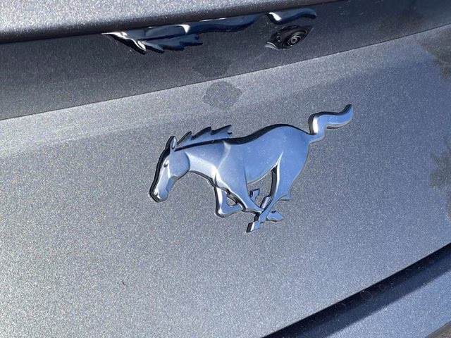 2026 Carbonized Gray Metallic Ford Mustang EcoBoost Premium RWD Coupe