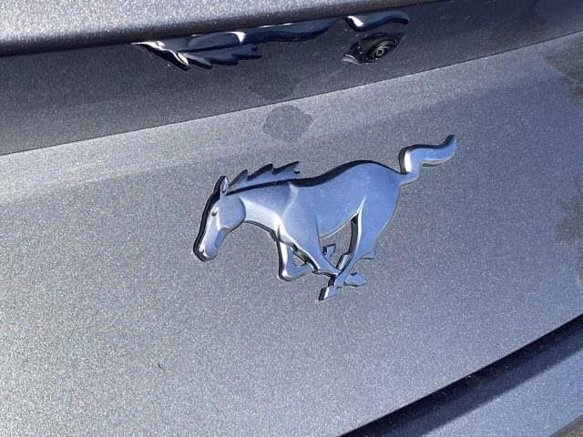 2026 Carbonized Gray Metallic Ford Mustang EcoBoost Premium RWD Coupe