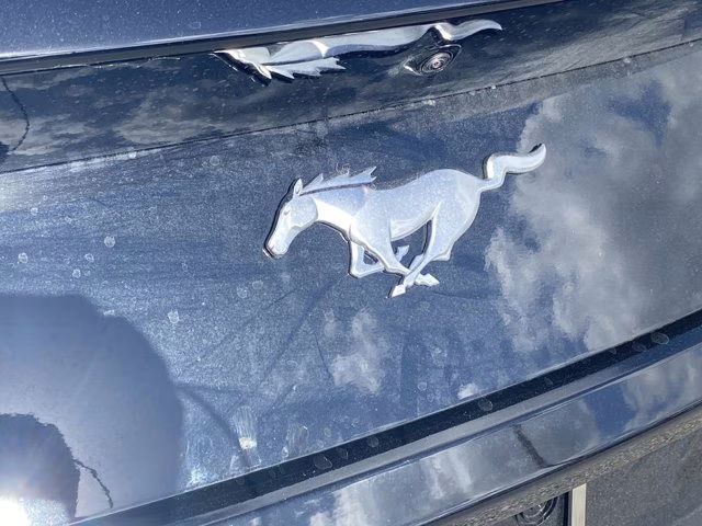 2026 Shadow Black Ford Mustang EcoBoost Premium RWD Coupe