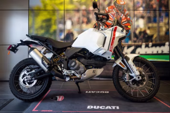 2025 WHITE Ducati DesertX