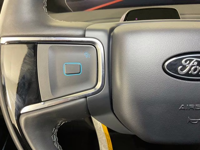 2025 Black Metallic Ford Expedition Tremor 4X4 SUV