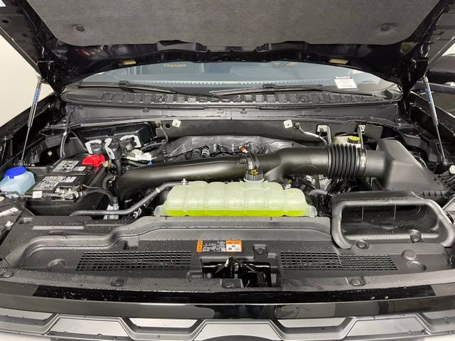 2025 Black Metallic Ford Expedition Tremor 4X4 SUV