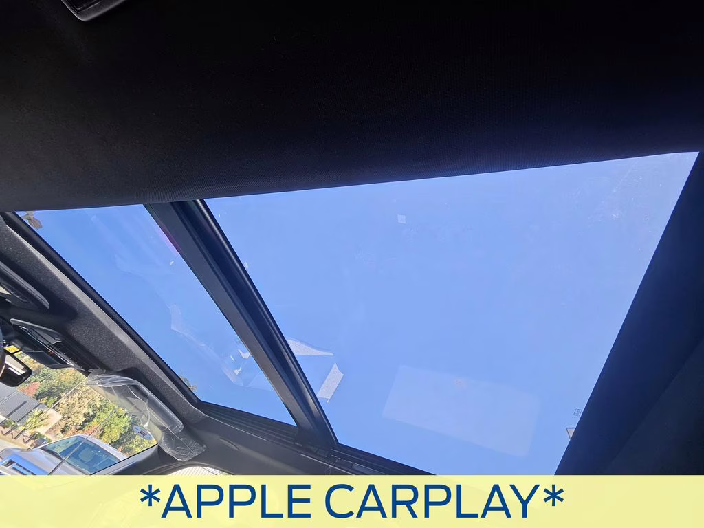 2026 Agate Black Metallic Ford Super Duty F-350 SRW Platinum 4X4 Truck