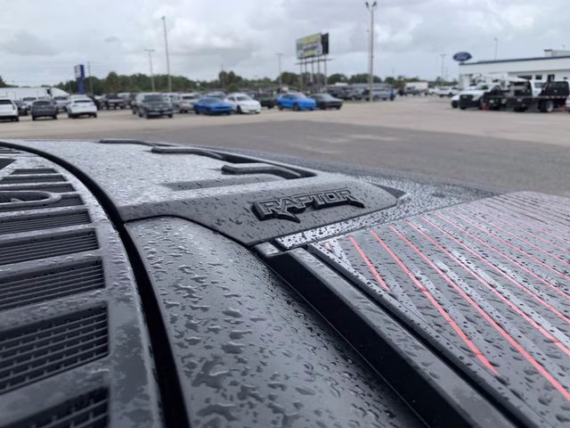 2025 Black Metallic Ford F-150 Raptor 4X4 Truck