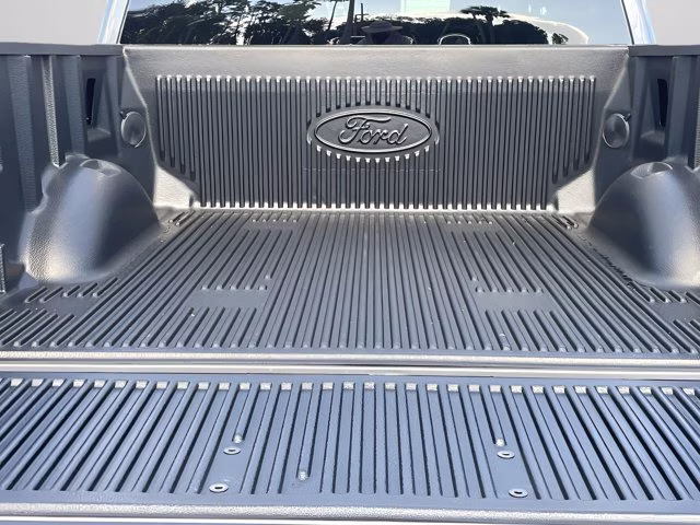 2025 Carbonized Gray Metallic Ford F-150 STX 4X4 Truck