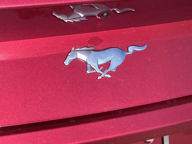 2026 Molten Magenta Metallic Tinted Clearcoat Ford Mustang EcoBoost Premium RWD Coupe