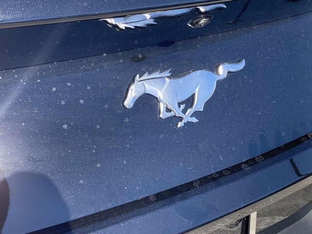 2026 Shadow Black Ford Mustang EcoBoost Premium RWD Coupe