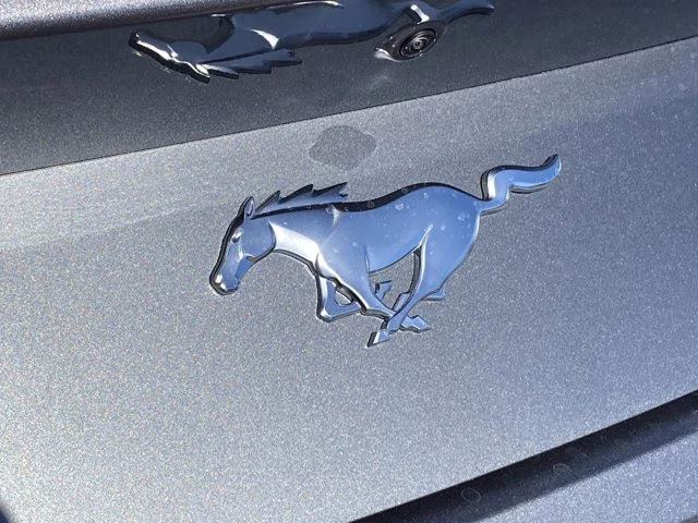 2026 Carbonized Gray Metallic Ford Mustang EcoBoost Premium RWD Coupe