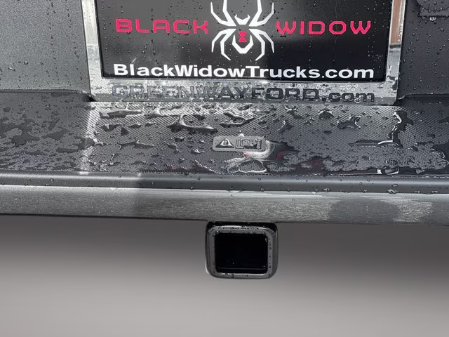 2025 Carbonized Gray Metallic Ford F-150 STX 4X4 Truck