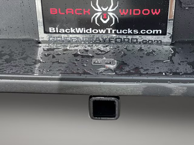 2025 Carbonized Gray Metallic Ford F-150 STX 4X4 Truck