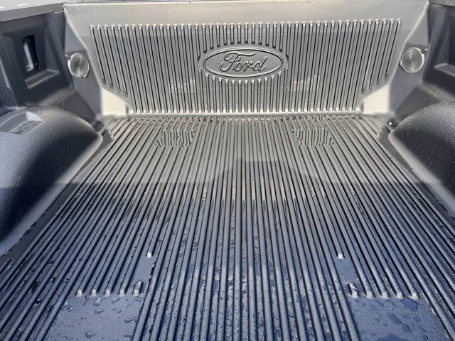 2025 Carbonized Gray Metallic Ford F-150 STX 4X4 Truck