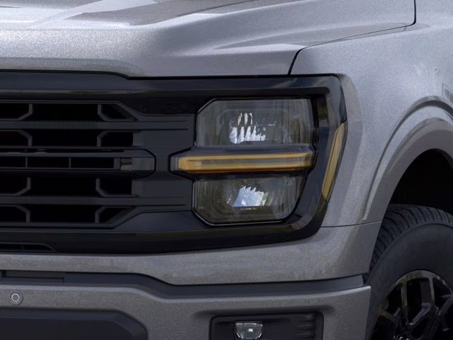 2025 Carbonized Gray Metallic Ford F-150 XLT RWD Truck